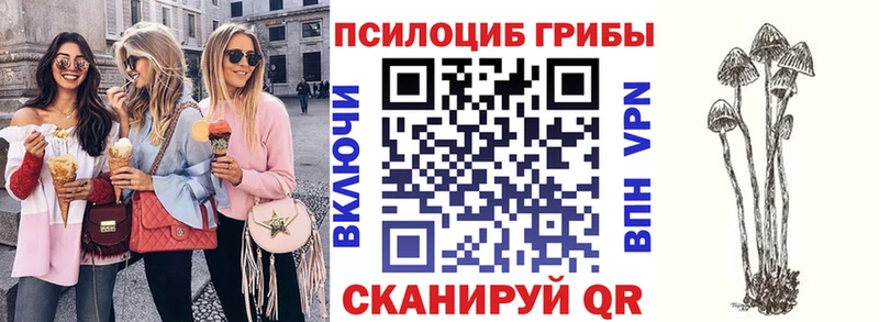Купить закладки  Медногорск  Галлюциногенные грибы MAGIC MUSHROOMS 
