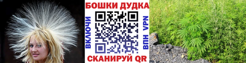 Конопля семена  Купить  Медногорск 